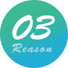 03 Reason