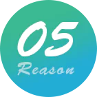 05 Reason